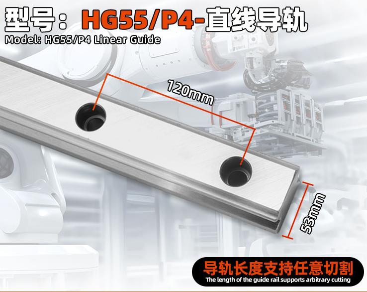 Hg55