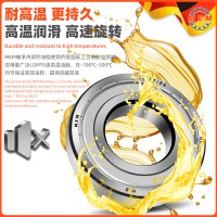 6220-2RS/P4, 6206-2z/P4